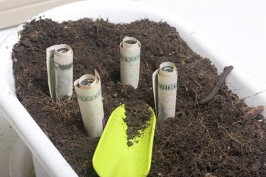 Similar image 16338448