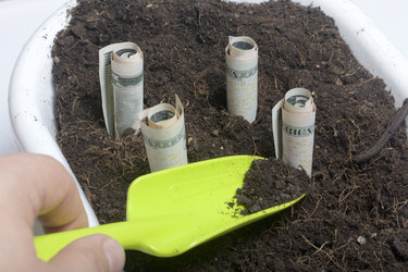 Similar image 16338542