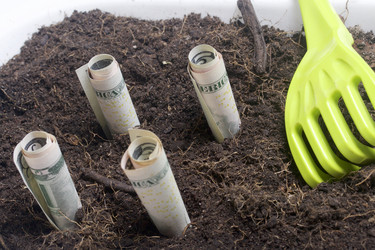 Similar image 16338632