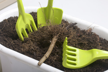 Similar image 16338761