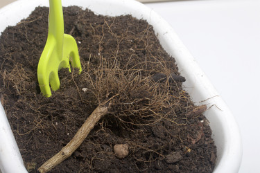 Similar image 16338791