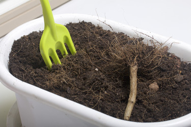 Similar image 16338836