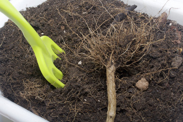 Similar image 16338861