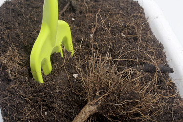 Similar image 16338882