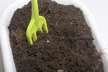 Similar image 16338906