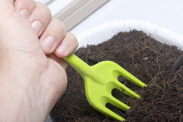 Similar image 16338932