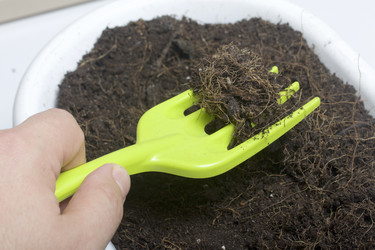 Similar image 16338954