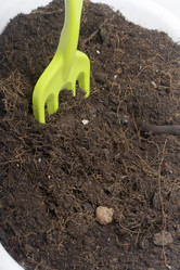 Similar image 16339001