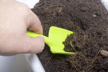 Similar image 16339089