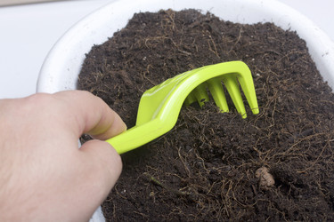 Similar image 16339166