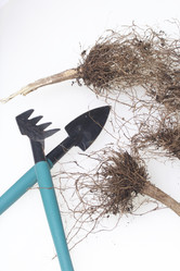 Similar image 16339642