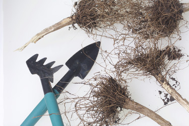 Similar image 16339723