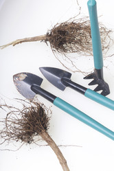 Similar image 16339249