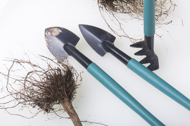 Similar image 16339270