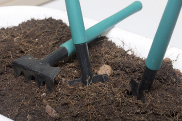 Similar image 16339289