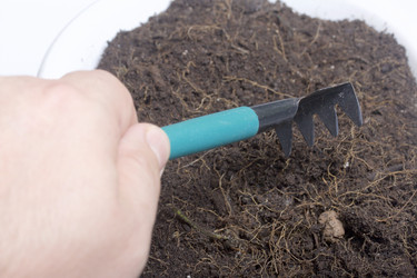 Similar image 16339307