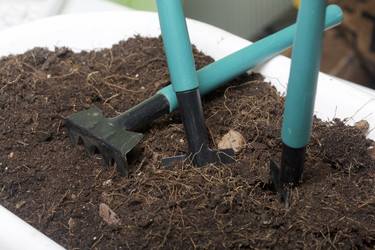 Similar image 16339324