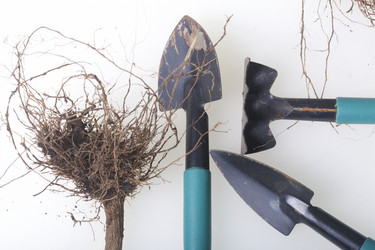 Similar image 16339332