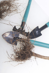 Similar image 16339350