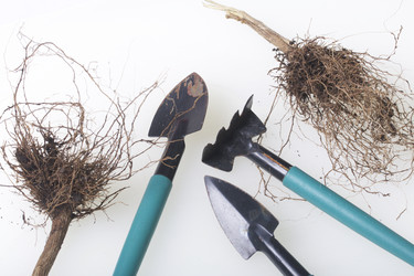 Similar image 16339397