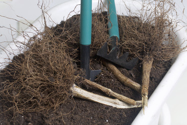 Similar image 16339457