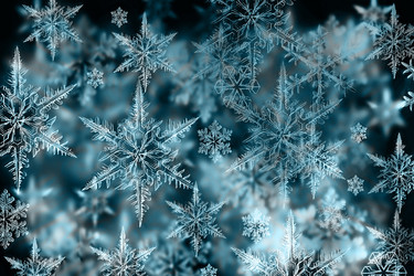 Similar image 15924412