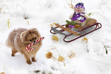 Similar image 15924530