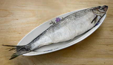 Similar image 15924471