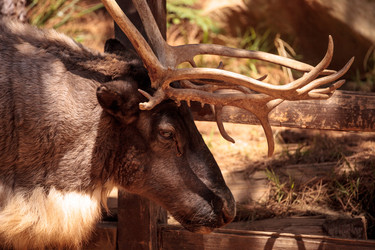 Similar image 15916199