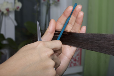 Similar image 16315487