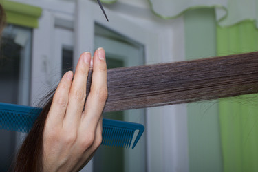 Similar image 16316830