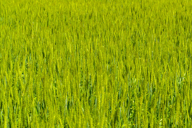 Similar image 16221017