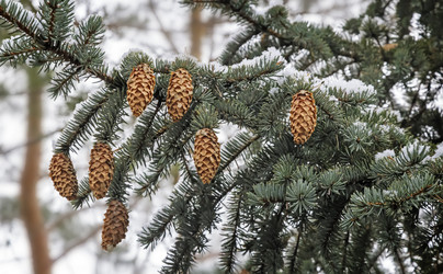 Similar image 15924435