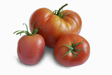 Similar image 15924535