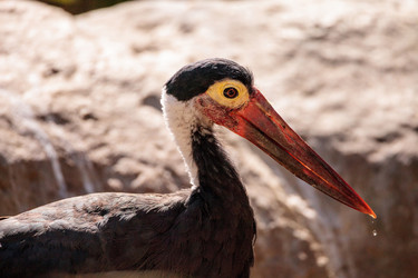 Similar image 15916112