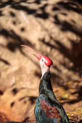 Similar image 15916201