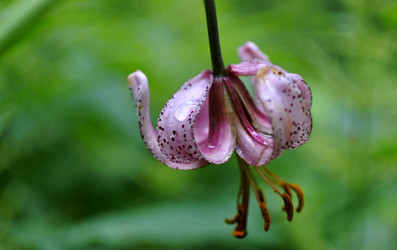 Similar image 15919014