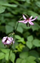 Similar image 15918974