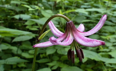 Similar image 15918975