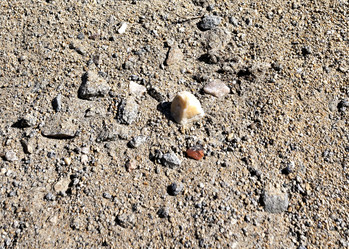 Similar image 15919018