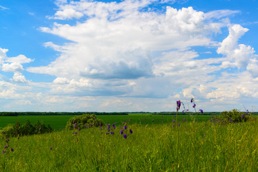 Similar image 16220981