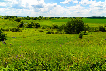 Similar image 16221022