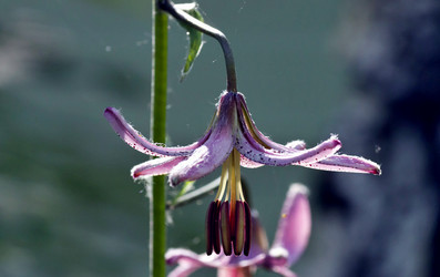 Similar image 15918976