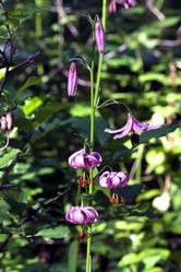 Similar image 15918978