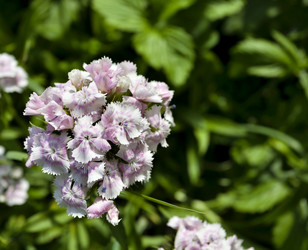 Similar image 15919005