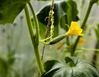 Similar image 15919006