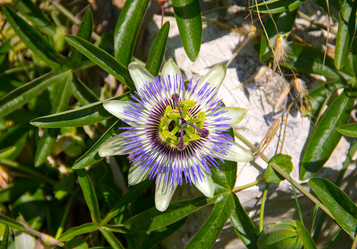 Similar image 15927780