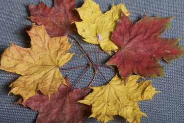 Similar image 16334139