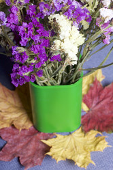 Similar image 16334162