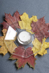 Similar image 16334646